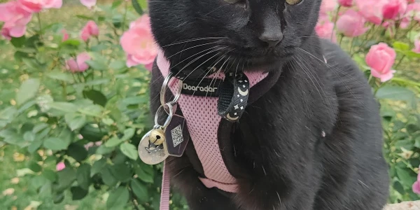 CHARG Resource Center